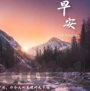 电脑足球比分软件-从数据狂欢到战术革命，电脑足球比分软件的进化史与未来图景