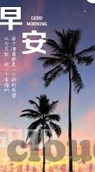 进足球比分-进足球比分，激情背后的数据密码与深度解读