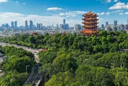 mk体育app下载安装-MK体育，下载与安装体验指南，获专业赛事信息，打造体育爱好者完美应用